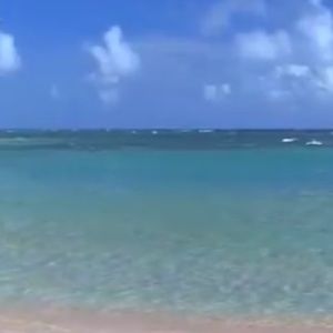 Meet your Posher, Yvonne